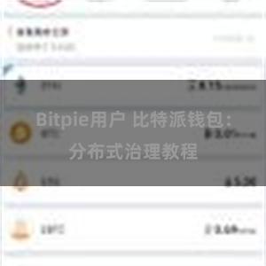 Bitpie用户 比特派钱包：分布式治理教程