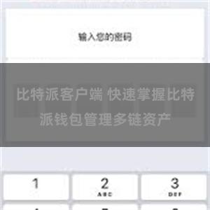 比特派客户端 快速掌握比特派钱包管理多链资产