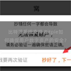 比特派系统支持 Bitpie如何确保用户数字资产的安全？