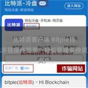 比特派客户端 Bitpie钱包多链操作指南：轻松管理多种资产