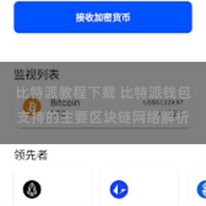 比特派教程下载 比特派钱包支持的主要区块链网络解析