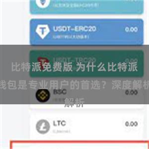 比特派免费版 为什么比特派钱包是专业用户的首选？深度解析