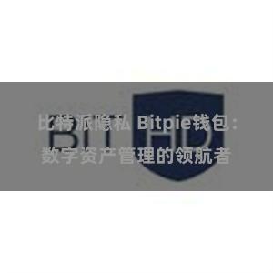 比特派隐私 Bitpie钱包：数字资产管理的领航者
