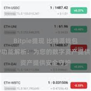 Bitpie提现 比特派钱包隐私保护功能解析：为您的数字资产提供安全守护