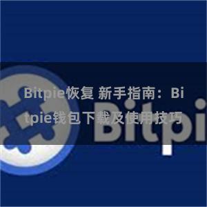 Bitpie恢复 新手指南：Bitpie钱包下载及使用技巧
