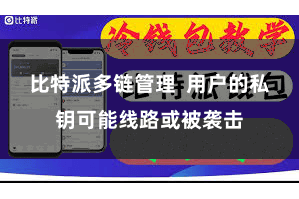比特派多链管理  用户的私钥可能线路或被袭击