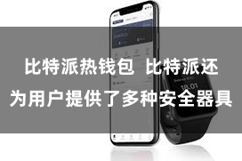 比特派热钱包  比特派还为用户提供了多种安全器具